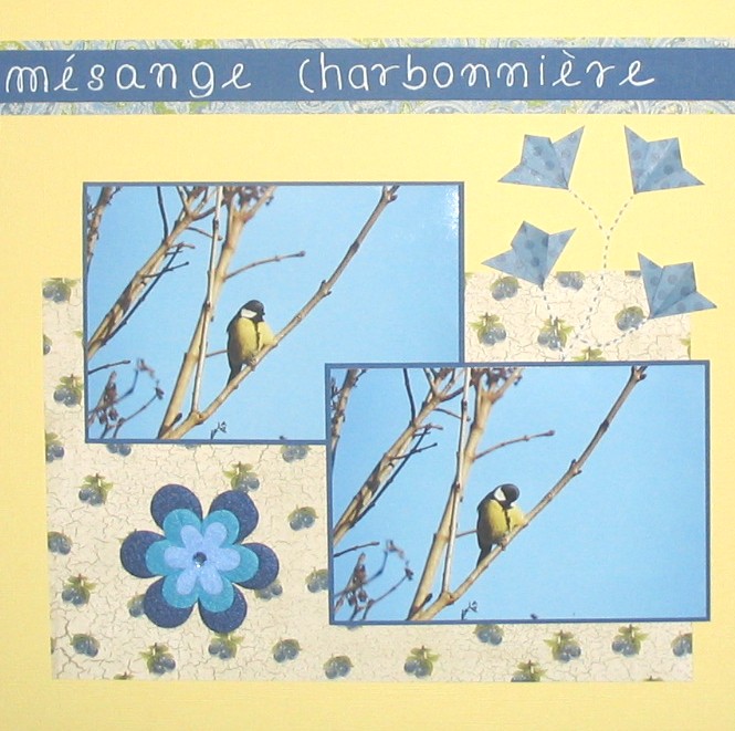 La mésange charbonnière