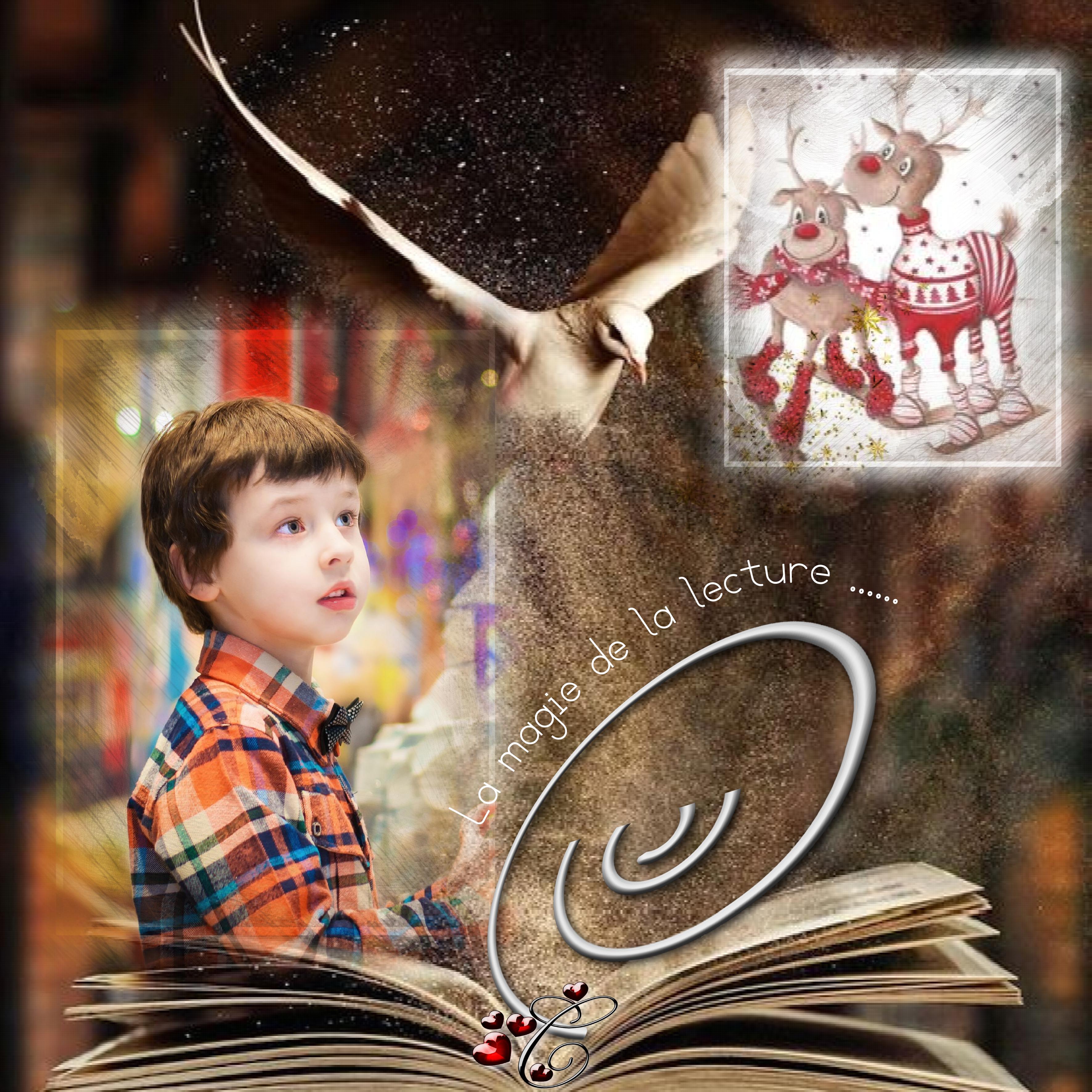 la magie de la lecture.jpg