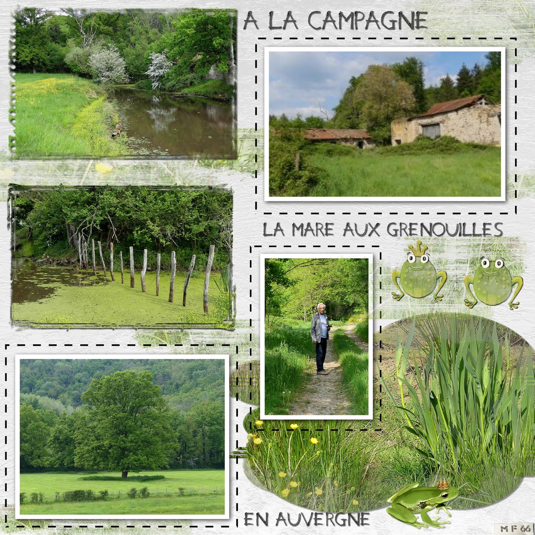 la mare aux grenouilles 1.jpg