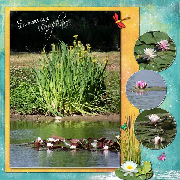 La mare aux nénuphars