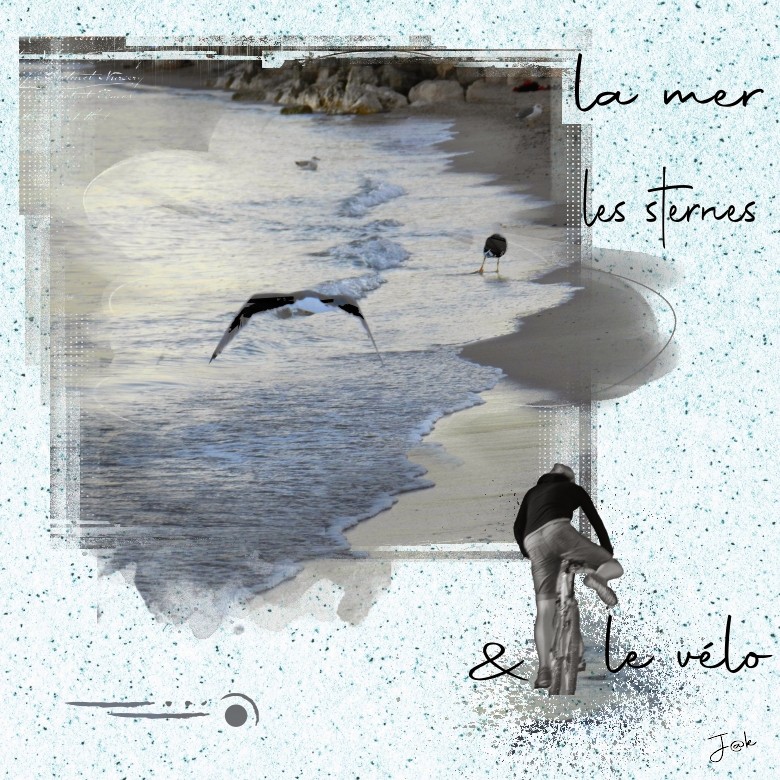 la mer les sternes & le vélo.jpg