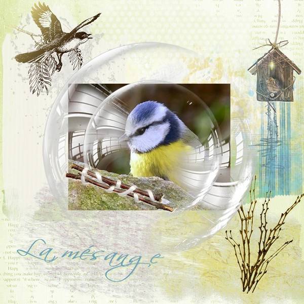 La mésange dans sa bulle ...