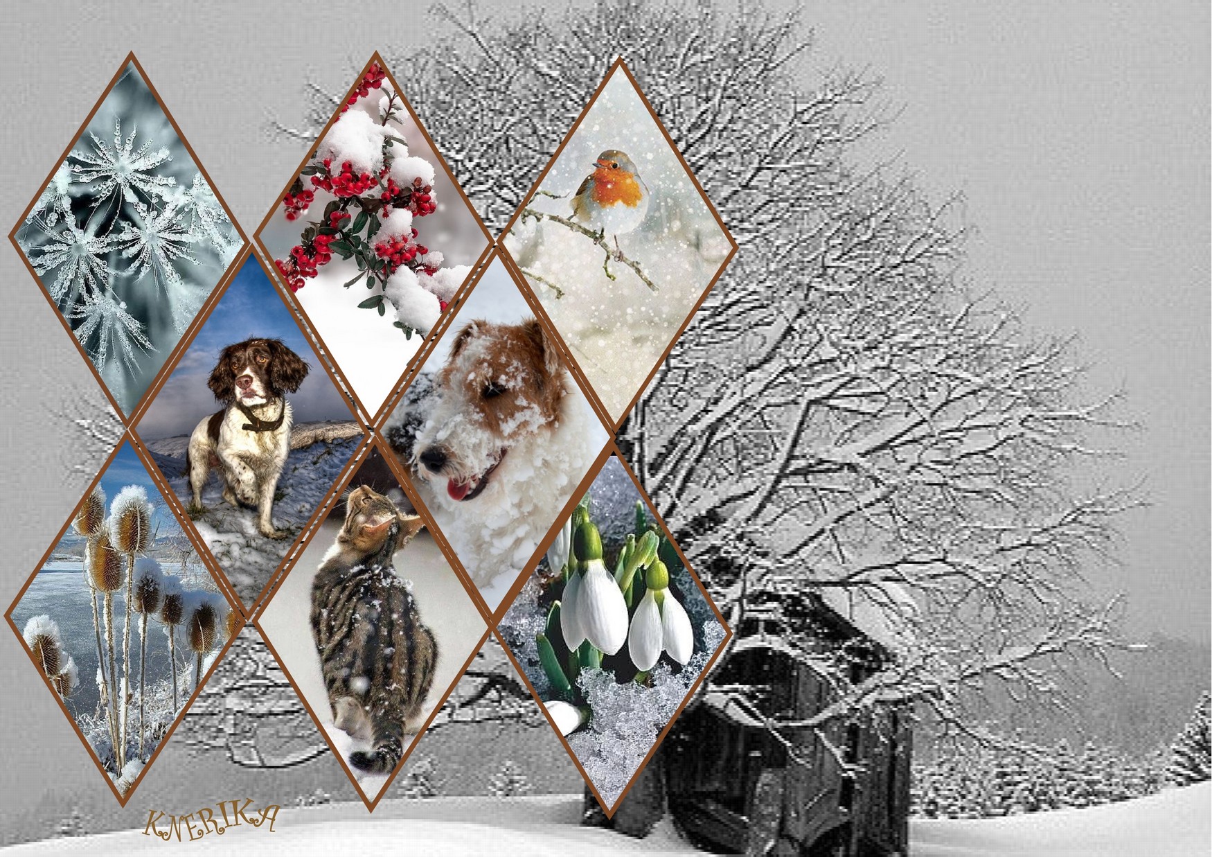 la moindre absence et nous sommes désemparés.jpg