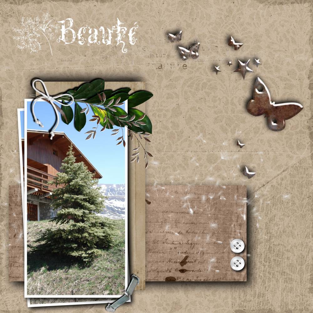 la montagne en été 2