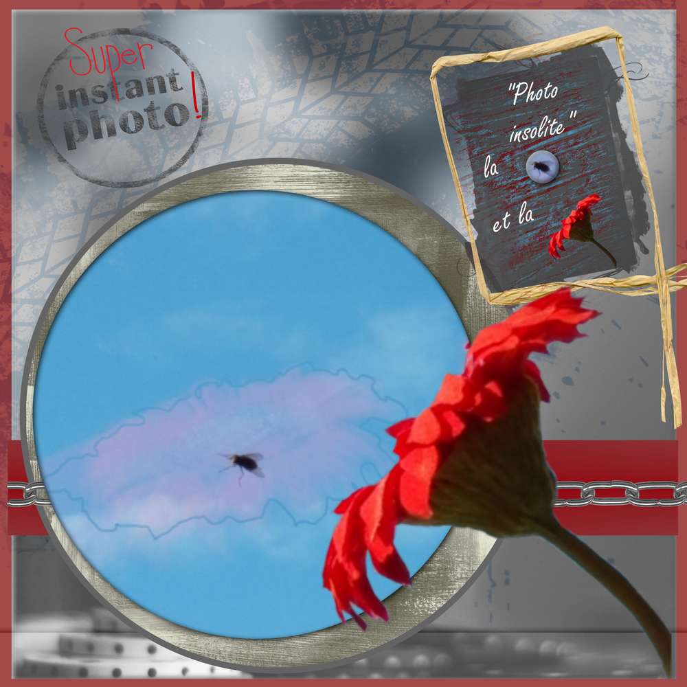 LA MOUCHE ET LA FLEUR