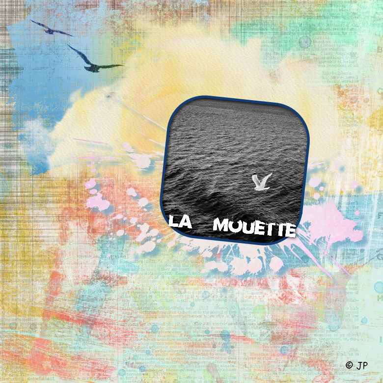 la mouette.jpg