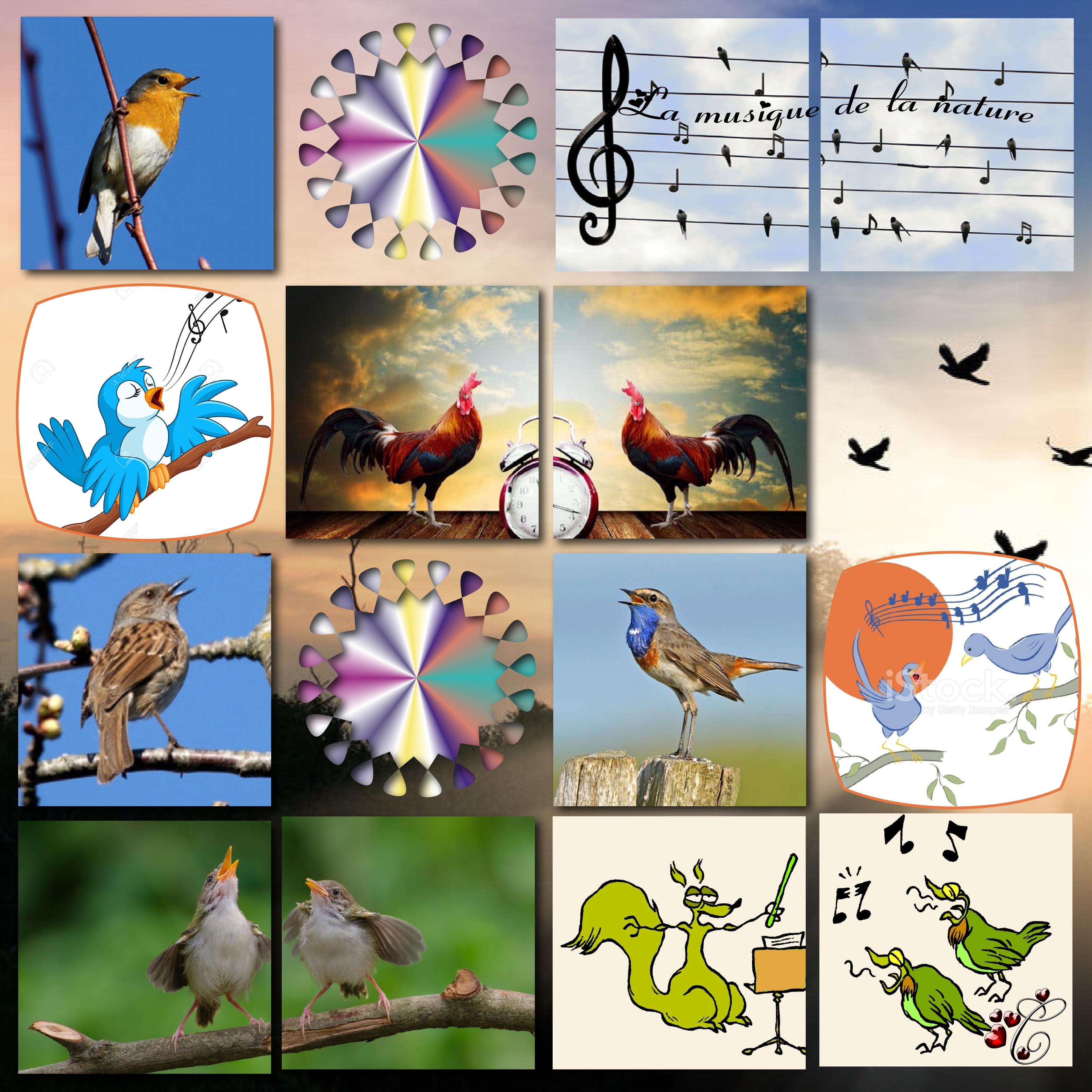 la musique de la nature.jpg