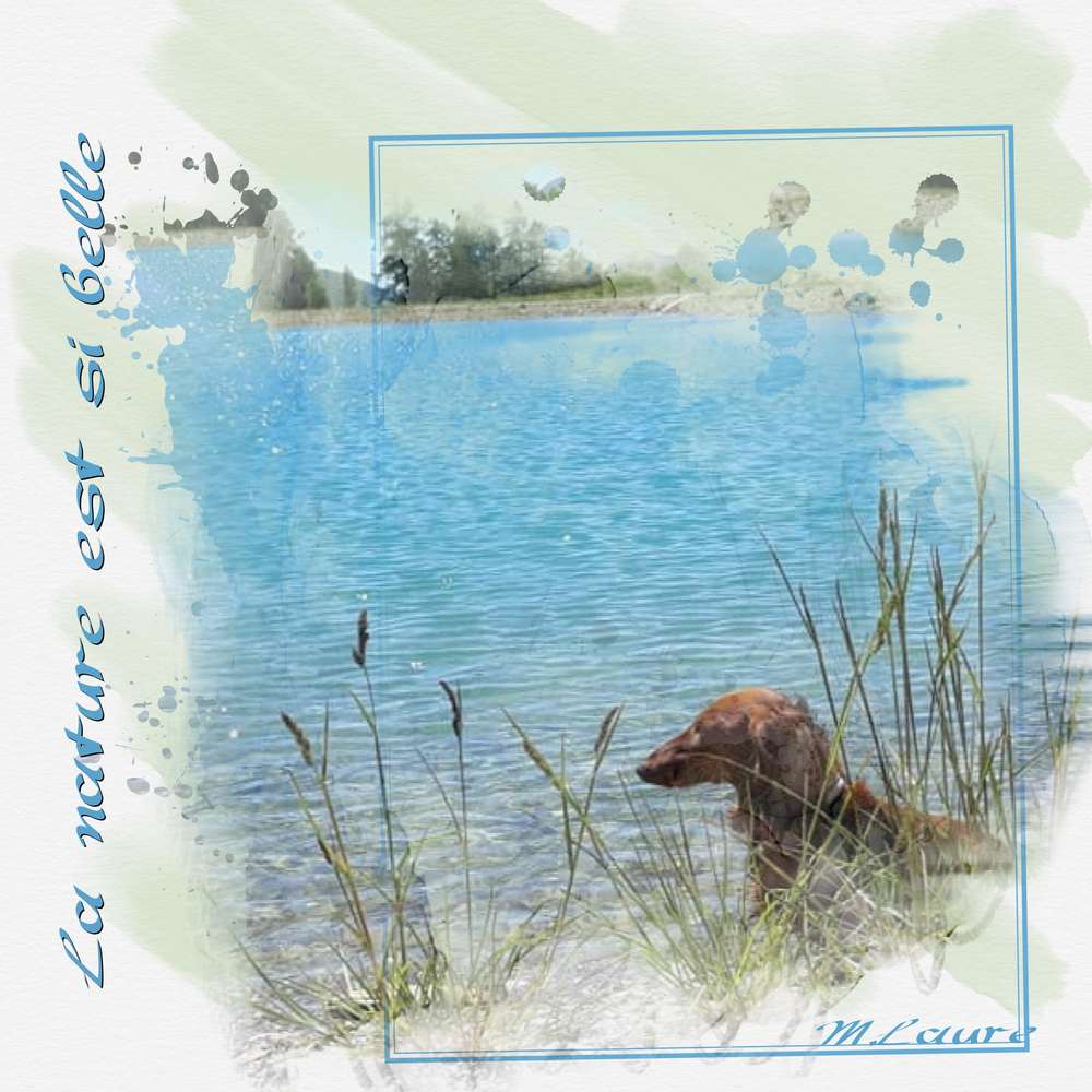 la nature est si belle