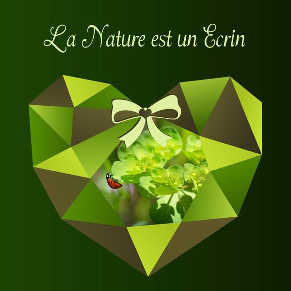 LA NATURE est UN ECRIN