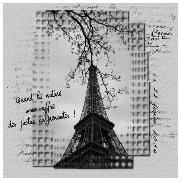 La nature et la Tour Eiffel