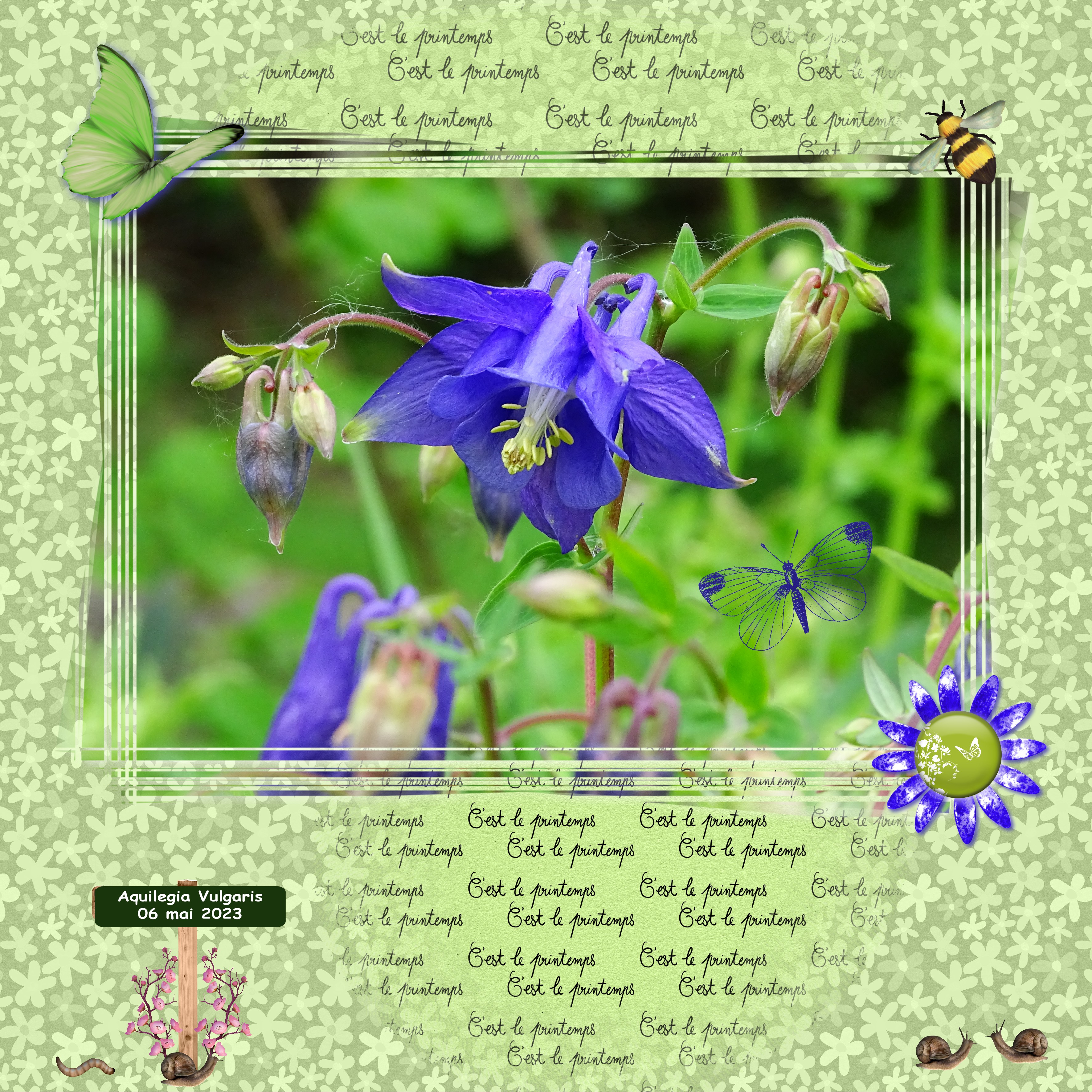 La nature printanière 2023.jpg