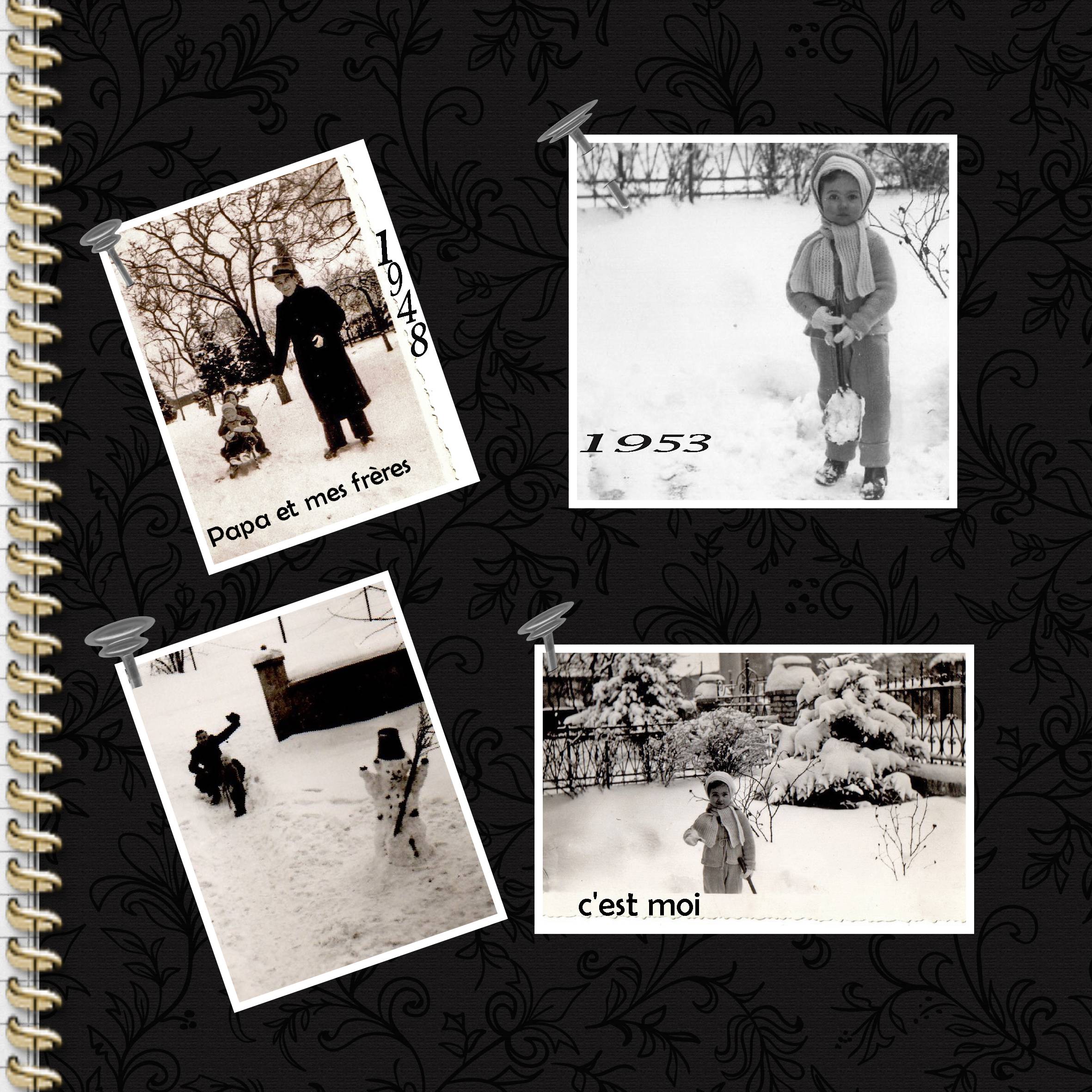 la neige en Lorraine .jpg