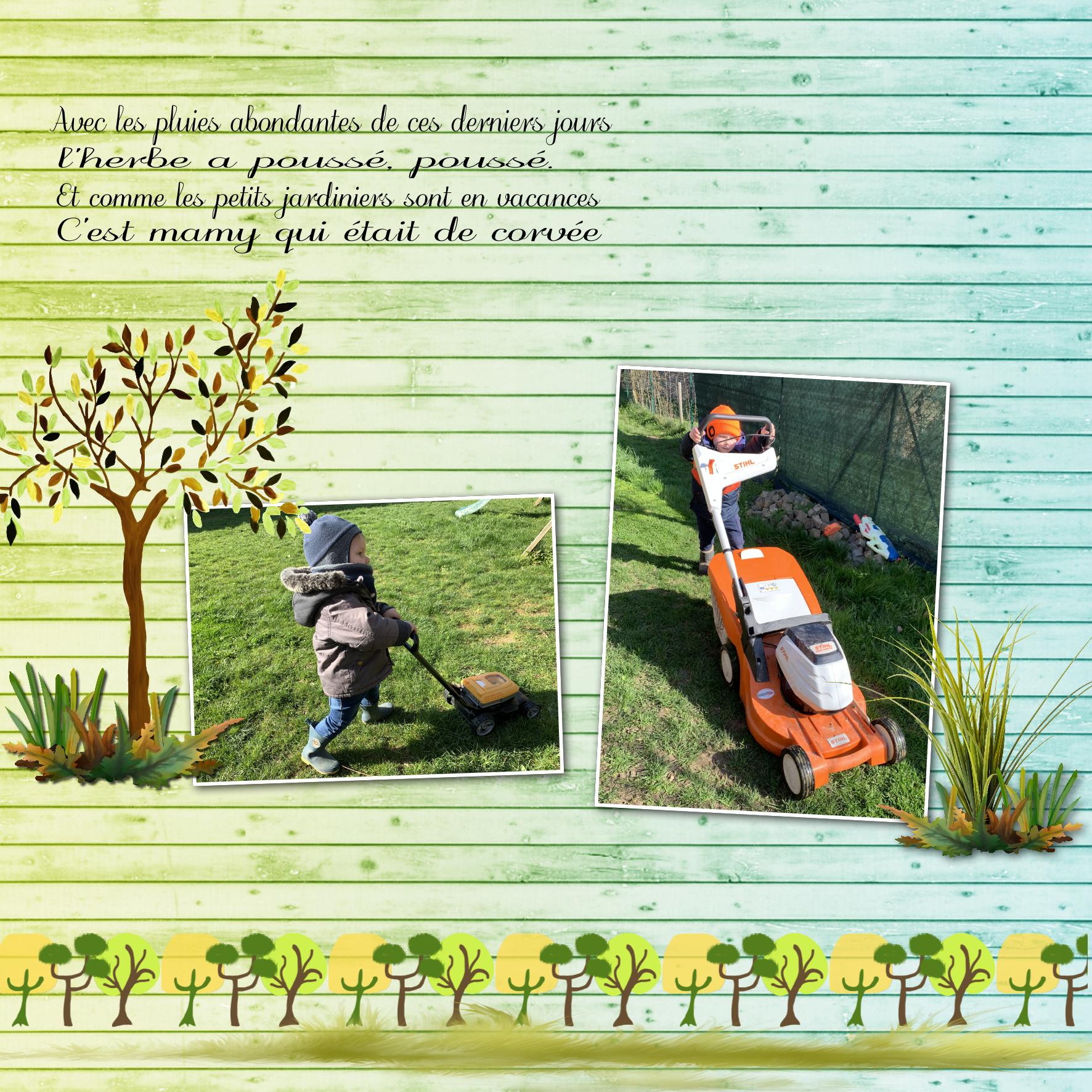 la pelouse.jpg