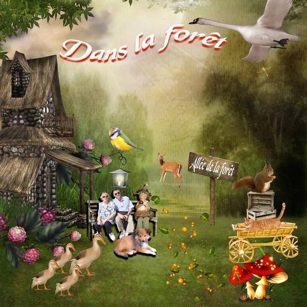 La petite maison dans la forêt