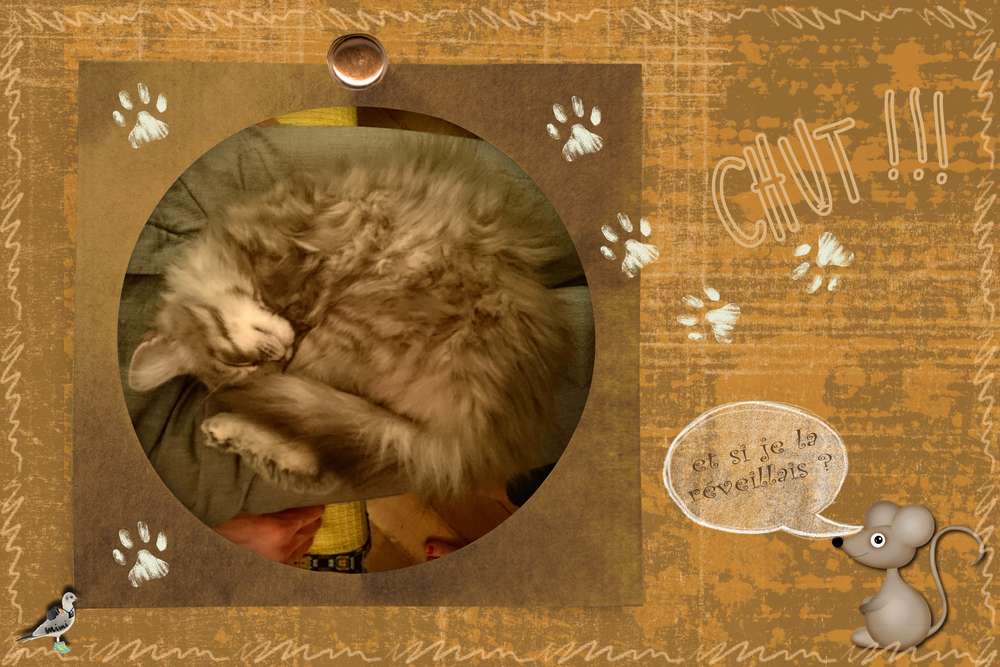 la petite parisienne !!!