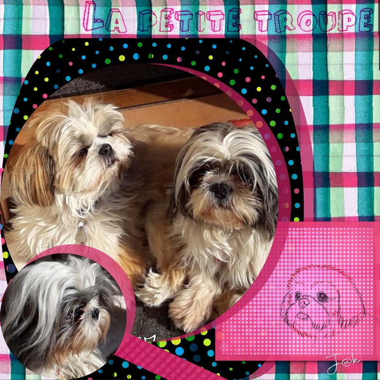 la petite troupe challenge la dictée  (page 2).jpg