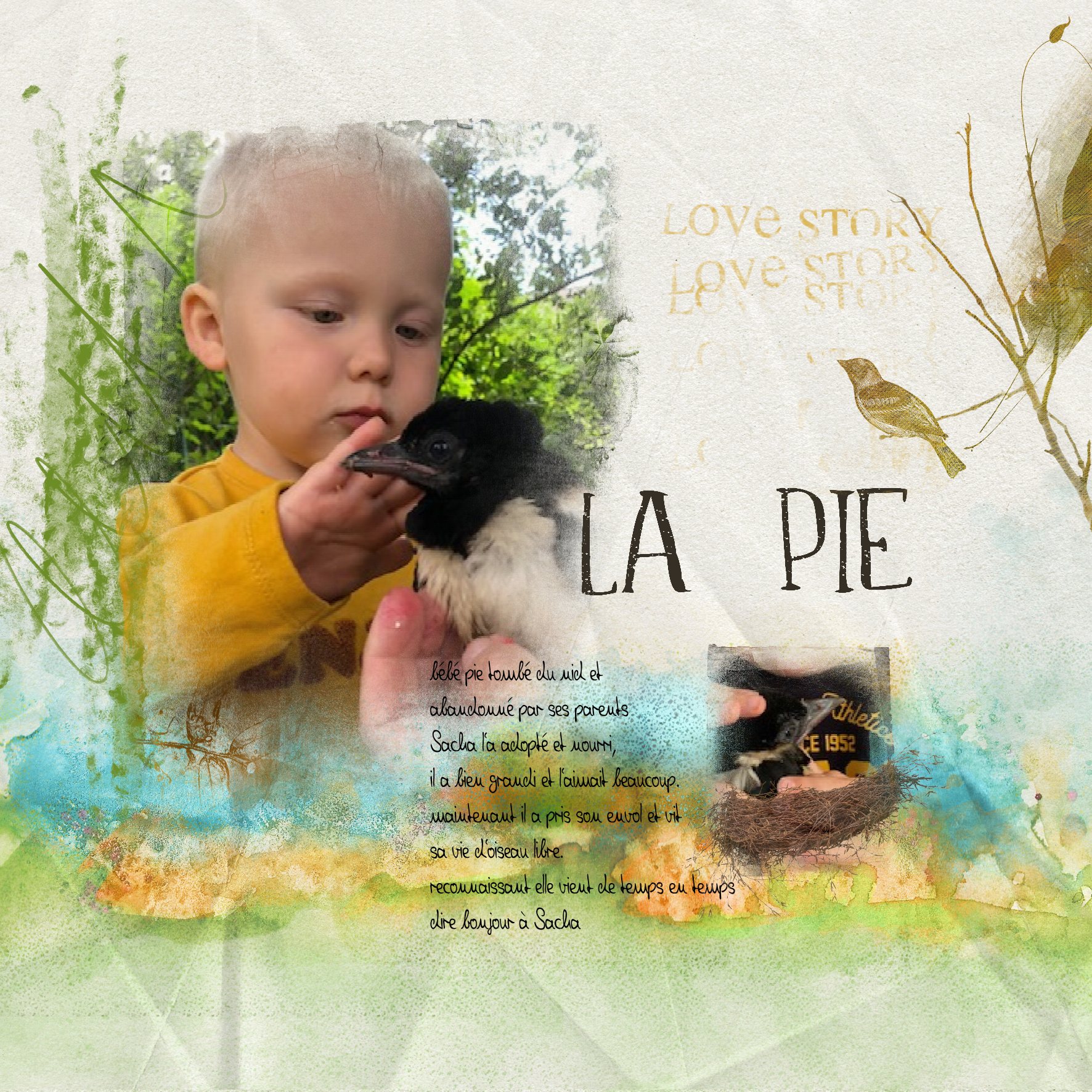 la pie.jpg