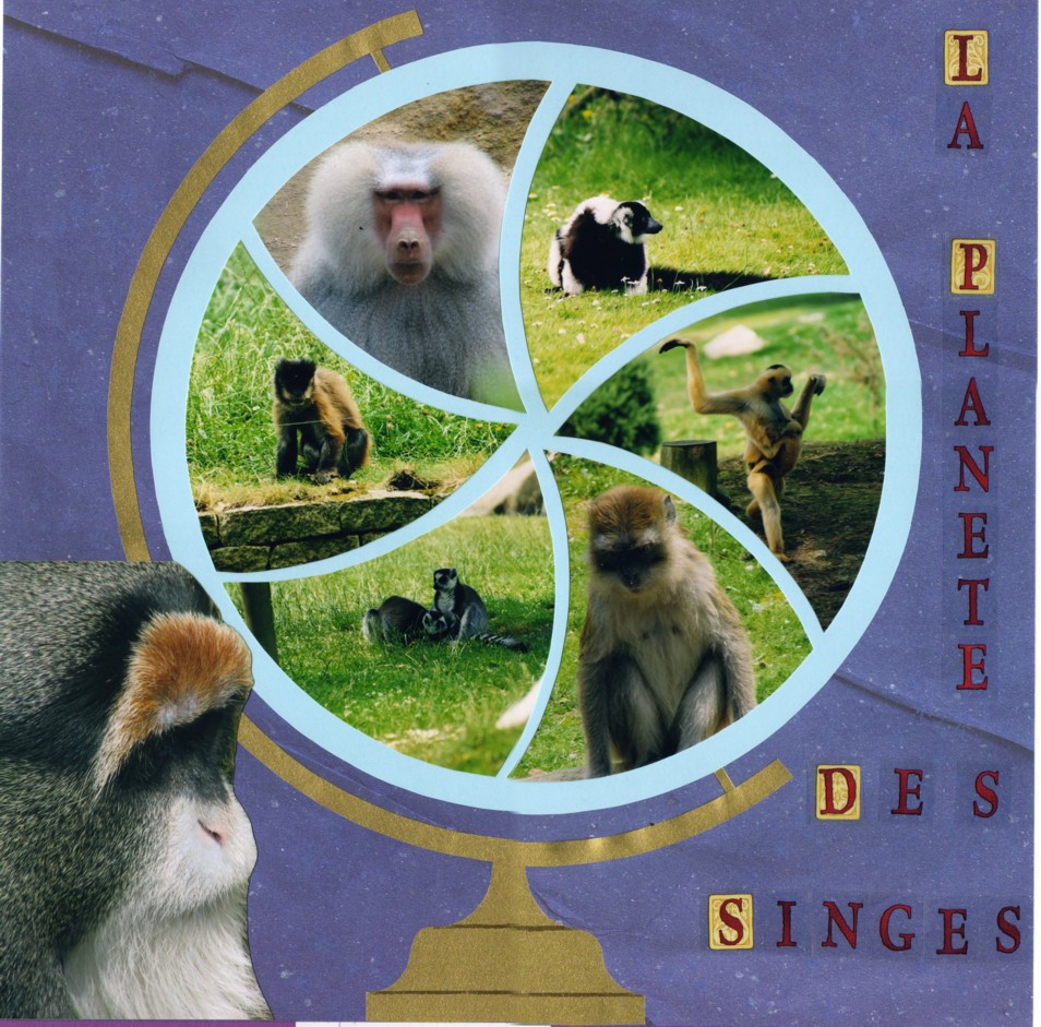 la planète des singes