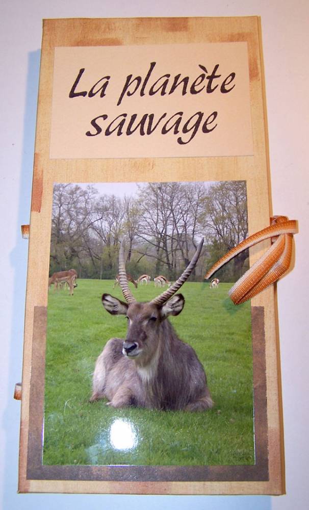 La planète sauvage 1