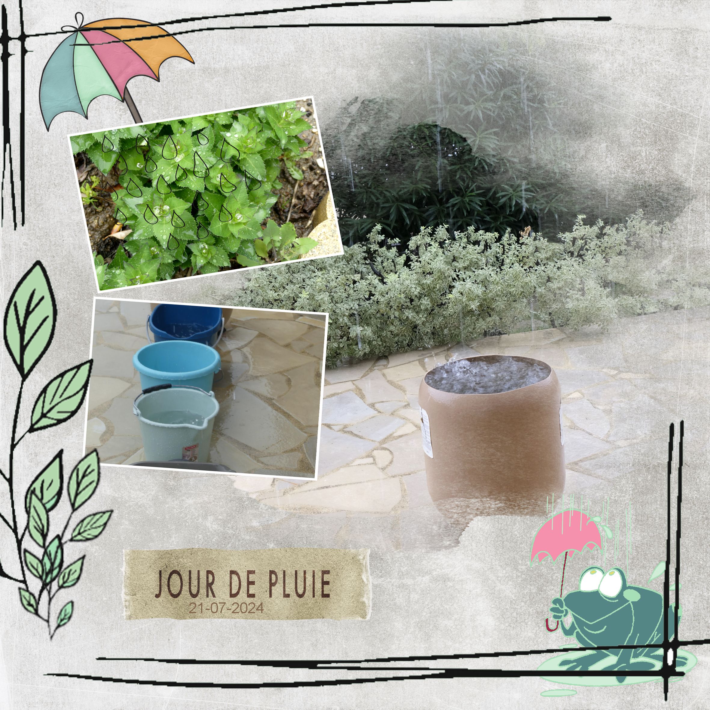 la pluie apres  séchresse.jpg