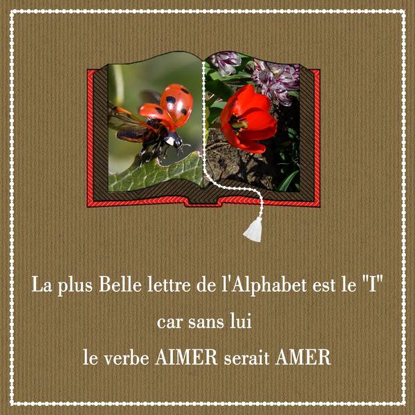 LA PLUS BELLE LETTRE DE L'ALPHABET EST LE ...