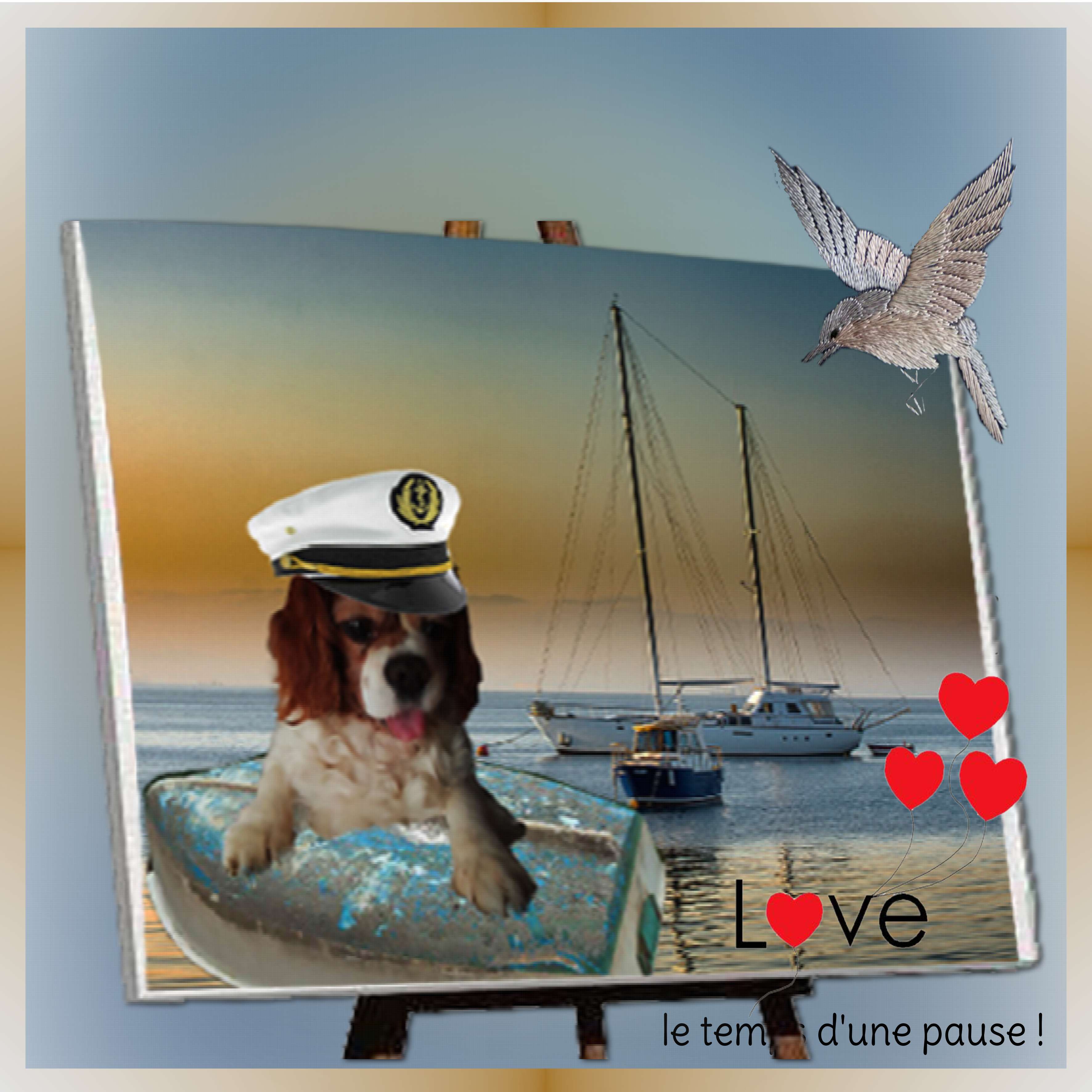 LA POSE POUR FLOYD.jpg