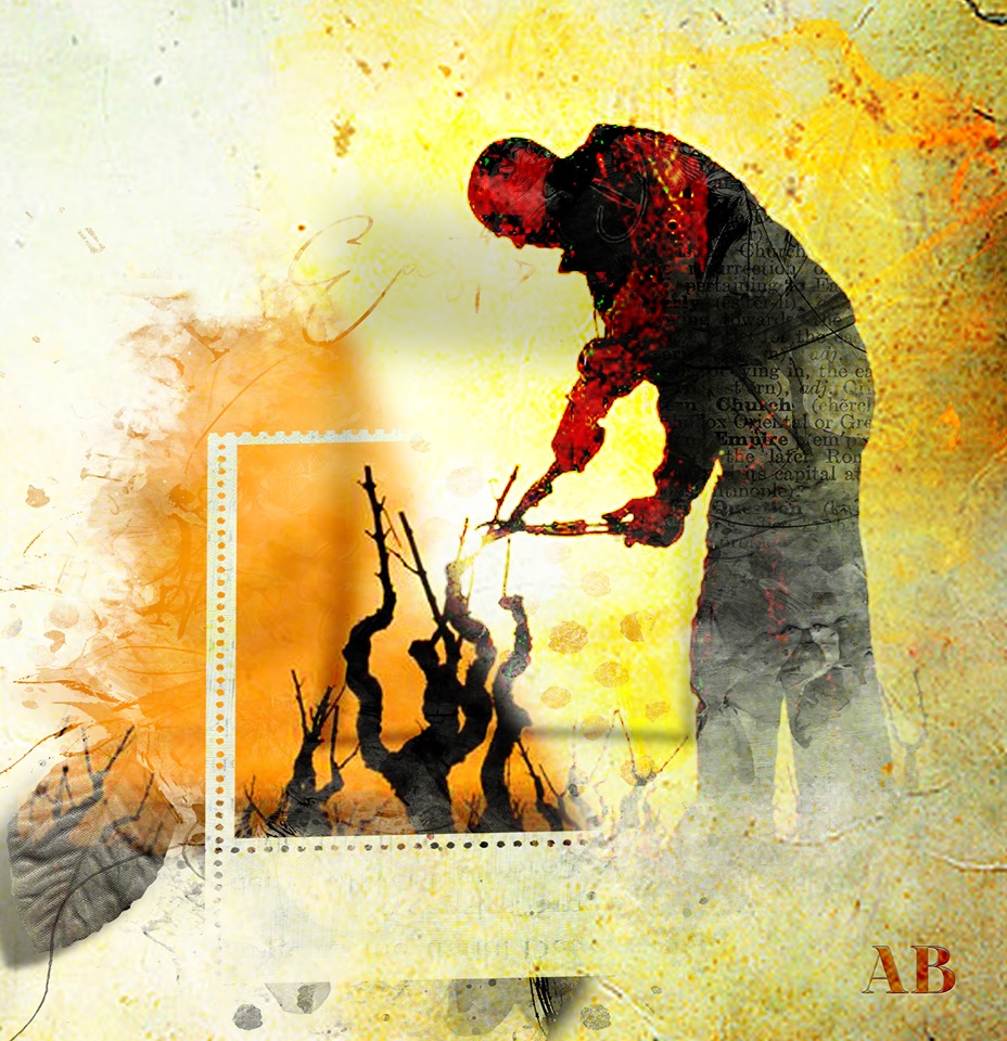 La préparation pour avoir du bon vin à Maury !