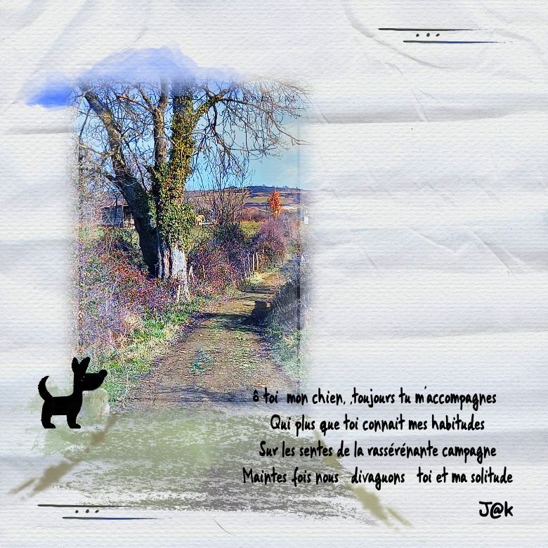 la rassérenante campagne .jpg