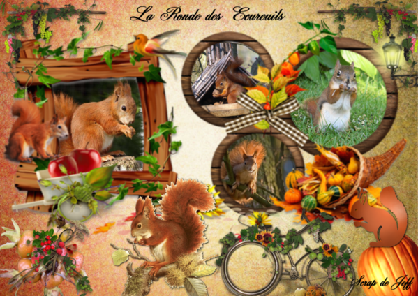 La ronde des écureuils.
