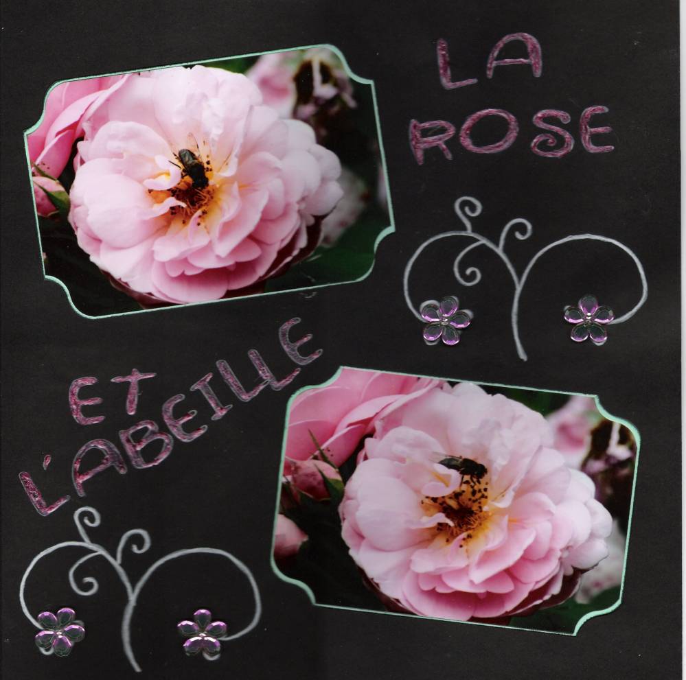 la rose et l'abeille