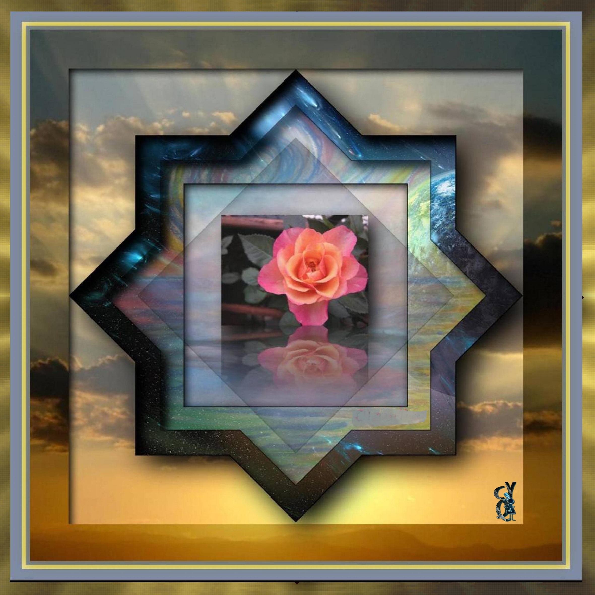 La rose et le miroir.jpg