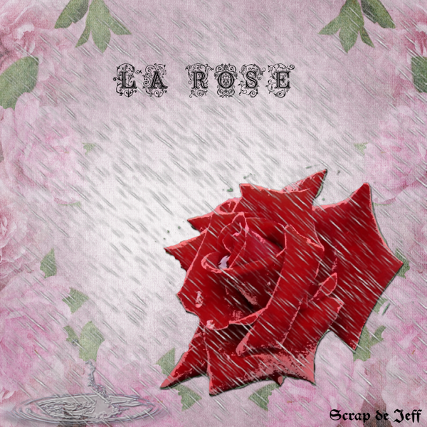 La rose