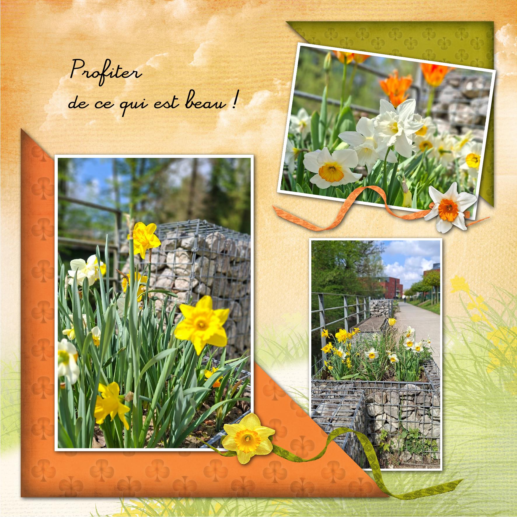 la route fleurie.jpg