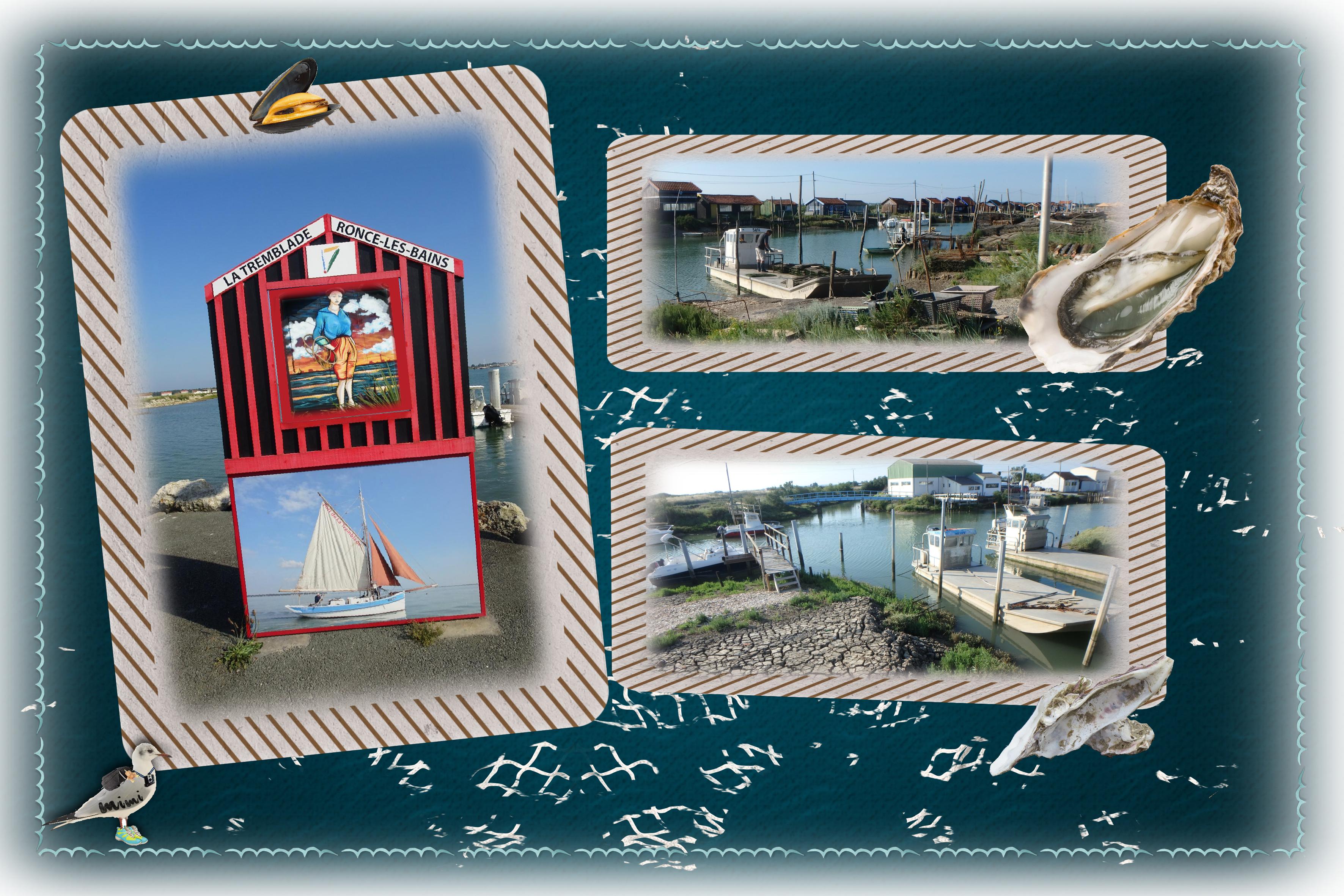 La Tremblade-les plates-16juillet.jpg