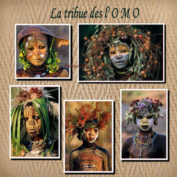 LA TRIBUE  DES  L OMO