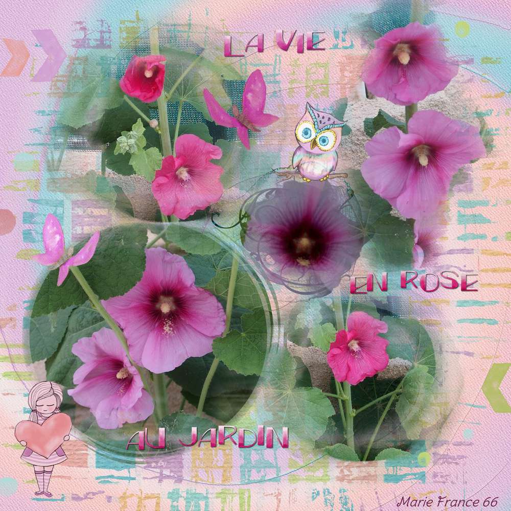 La vie en rose au jardin