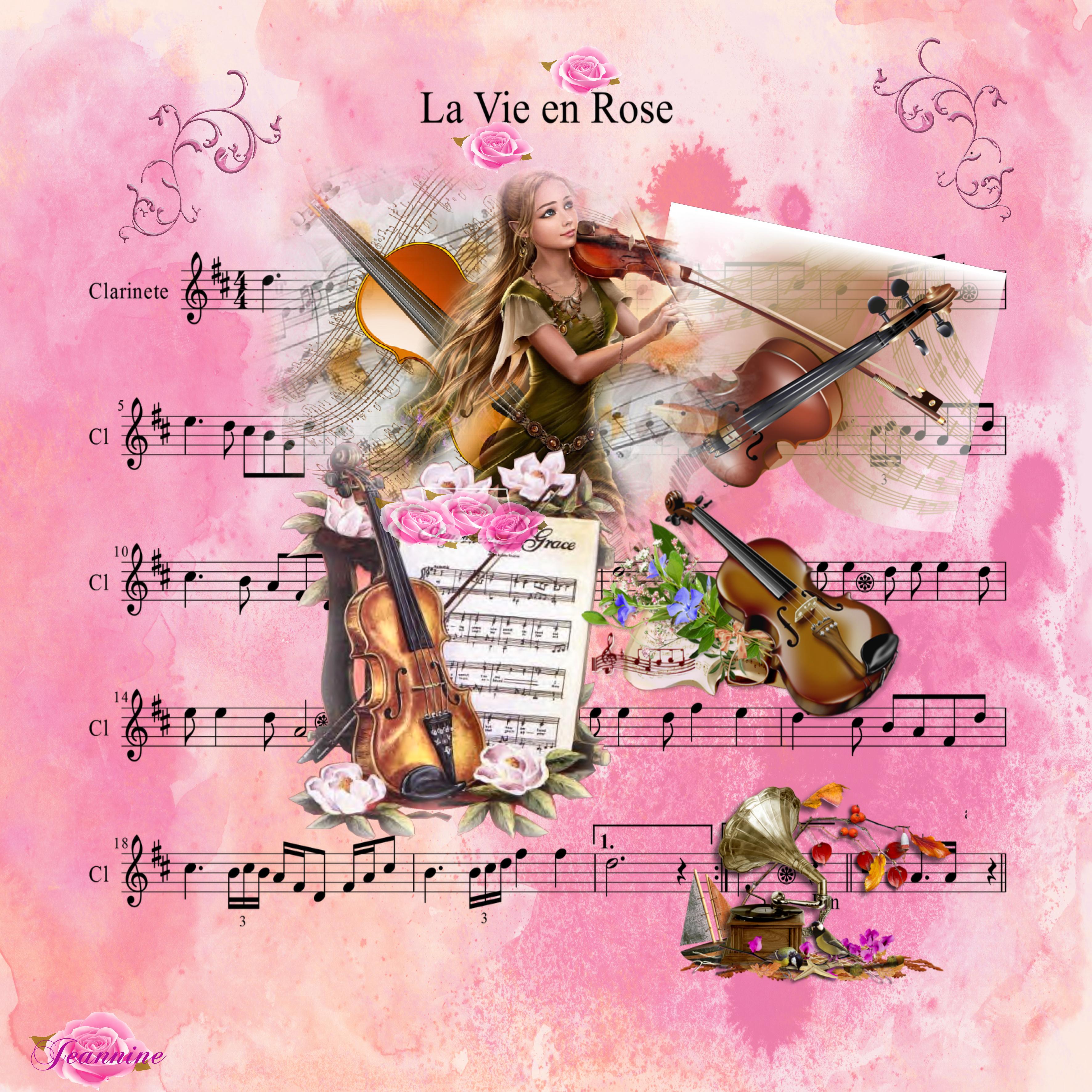 La vie en rose   vue par Jeannine.jpg