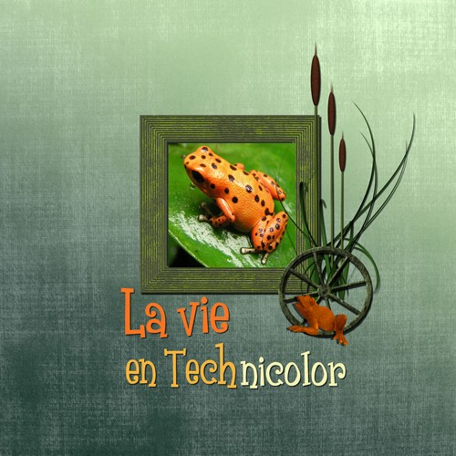 la vie en technicolor