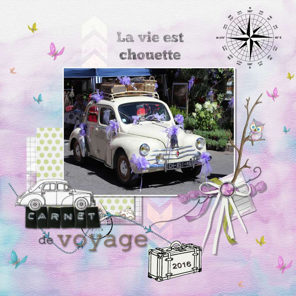 LA VIE EST CHOUETTE