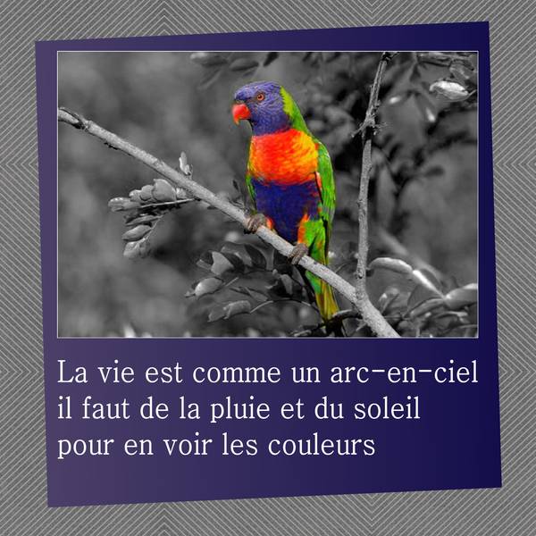 LA VIE EST COMME UN ARC-EN-CIEL ...