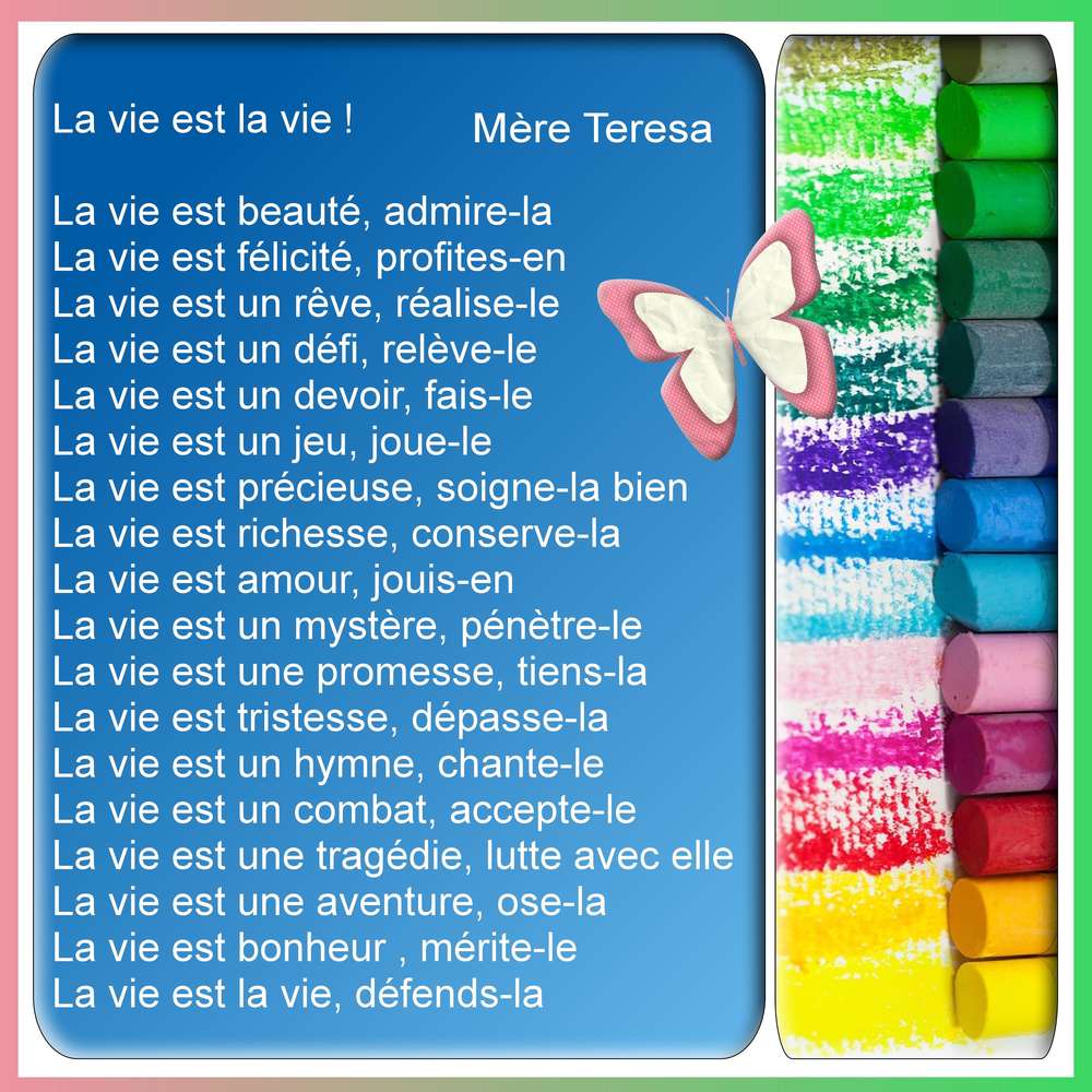 LA VIE EST LA VIE ! - MERE TERESA