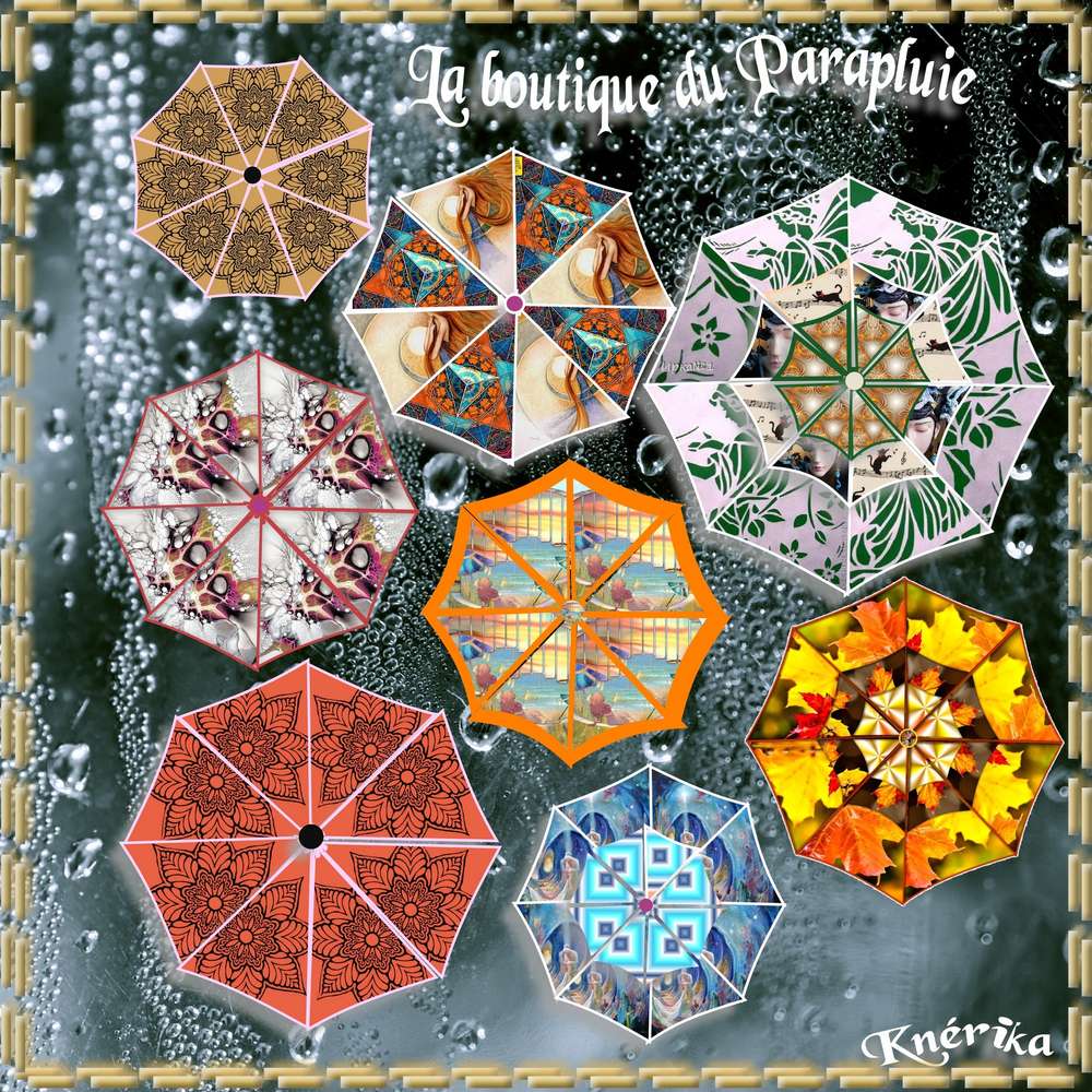 la_boutique_du_parapluie_C__20_02_2020_OK