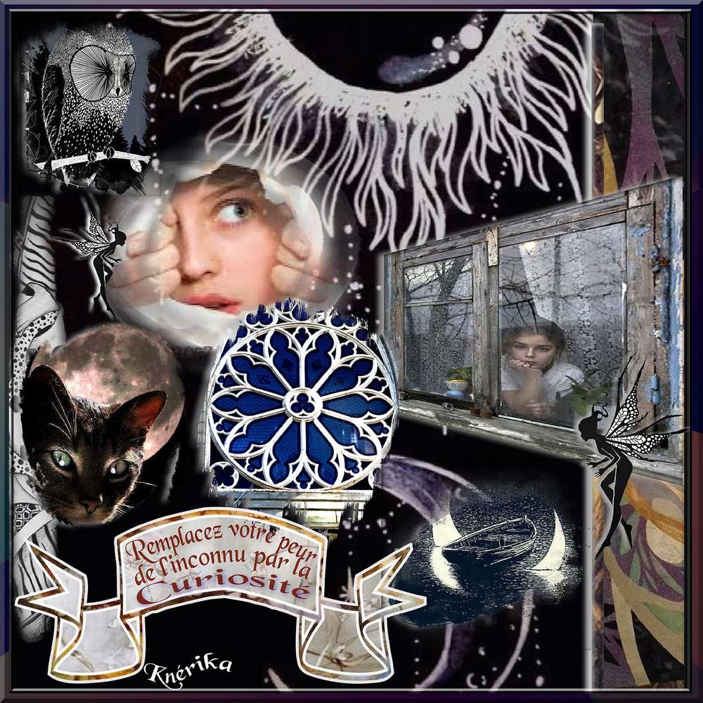 la_curiosit____14_01_2020_copie_OK