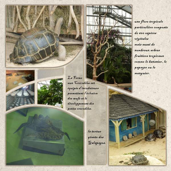 la_ferme_aux_crocodiles_1__page_5_
