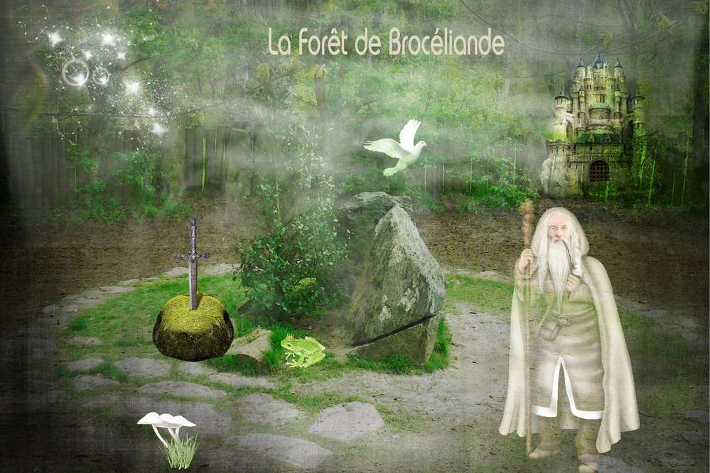 La_for__t_de_Broc__liande