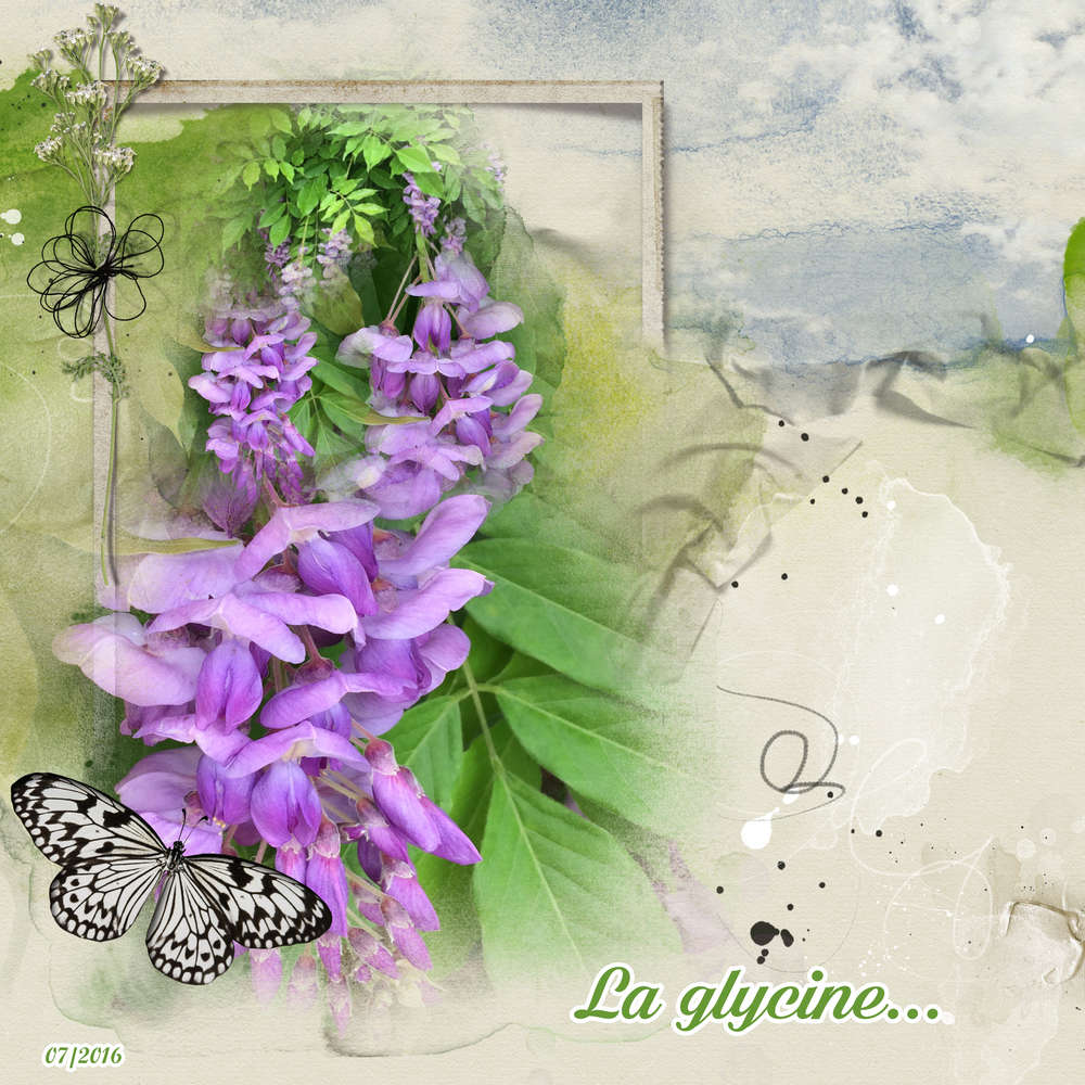 La_glycine (présentation 2)