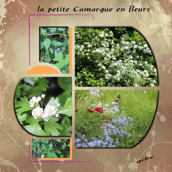 la_petite_camargue_Alsacienne