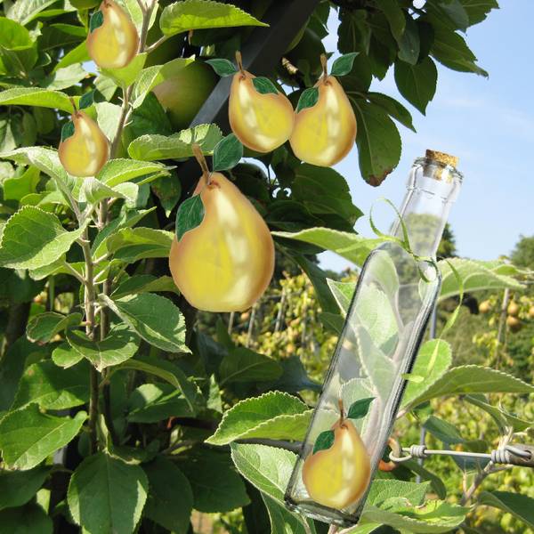 La_poire_en_bouteille
