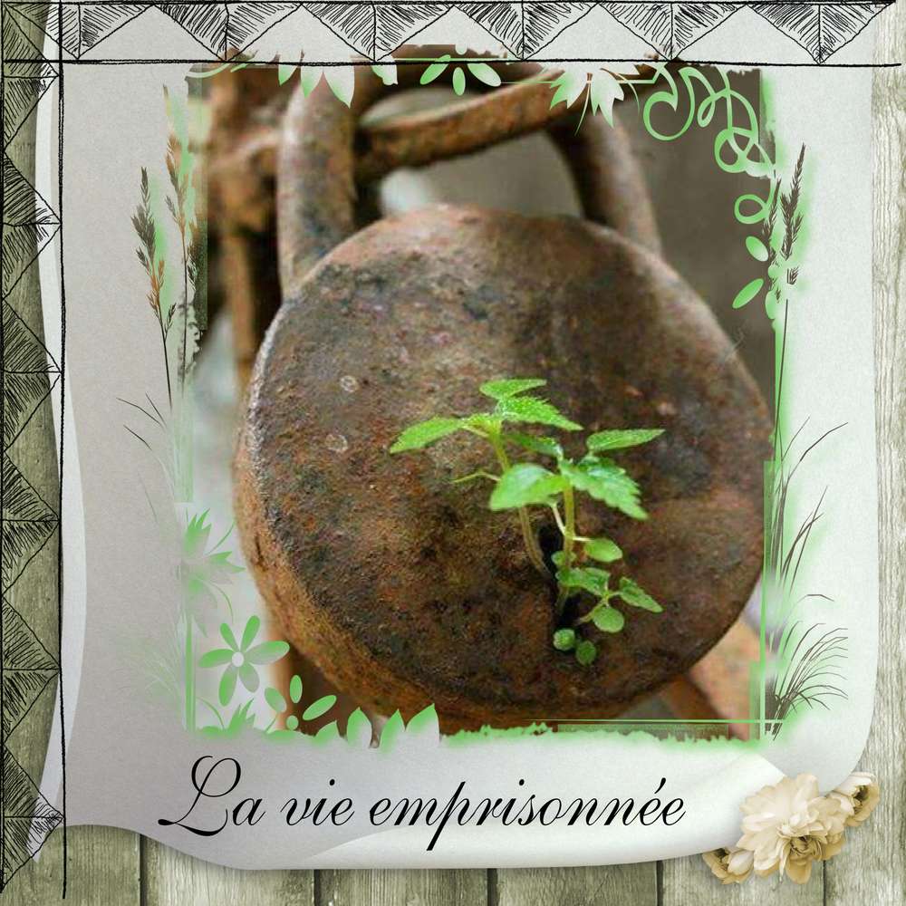 La_vie_emprisonn__e