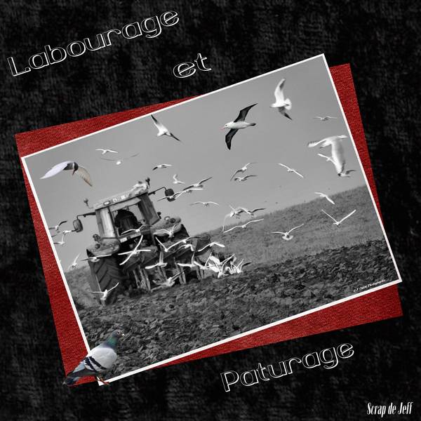 Labourage et Paturage.